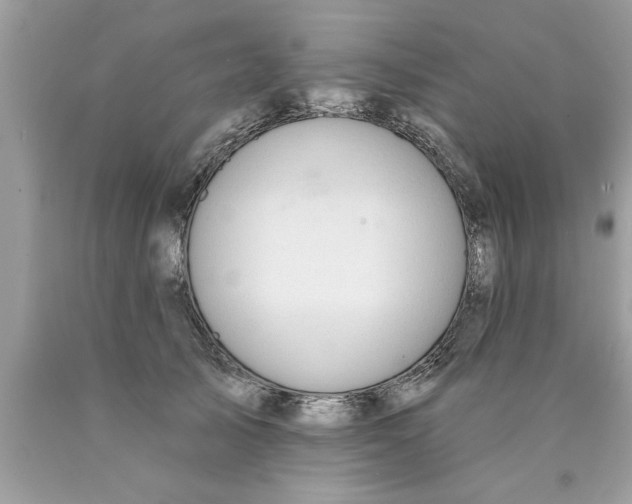 X0000089860705200707262128