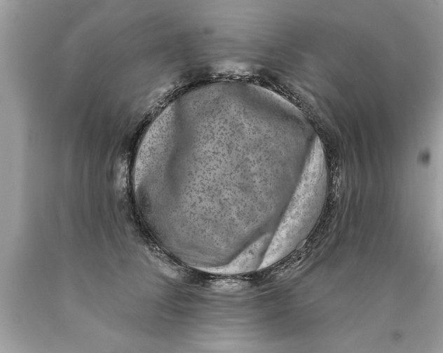 X0000089860708200707262128