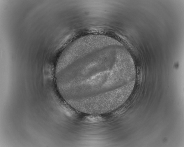 X0000089860712200707262128