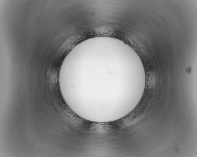 X0000089860713200707262128