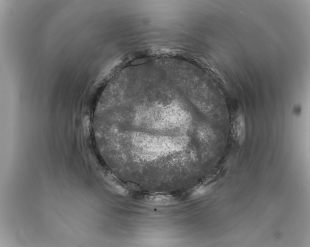 X0000089860716200707262128