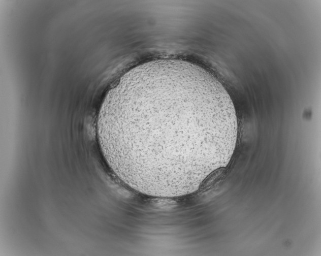 X0000089860719200707262128