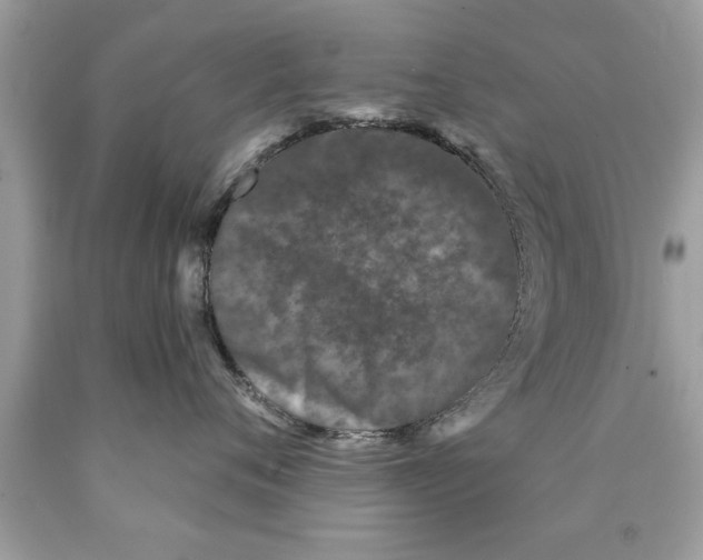 X0000089860720200707262128