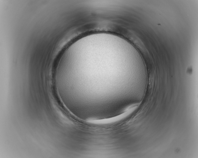 X0000089860722200707262127