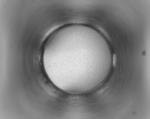 X0000089860723200707262127