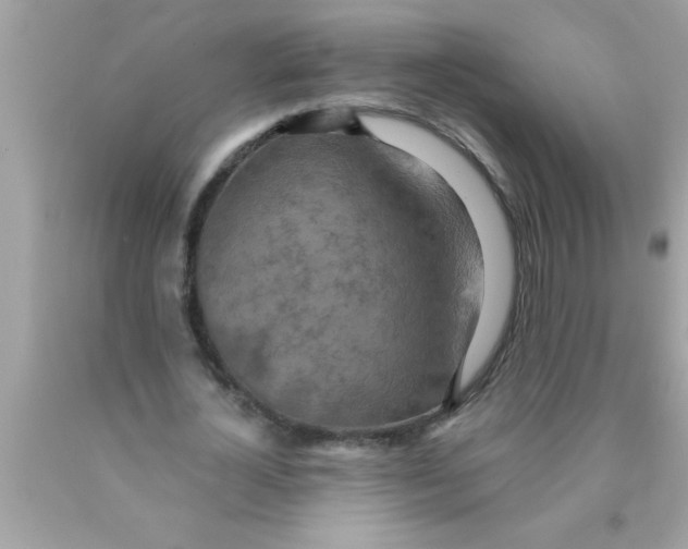 X0000089860724200707262127