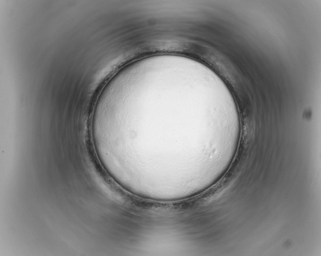 X0000089860725200707262127