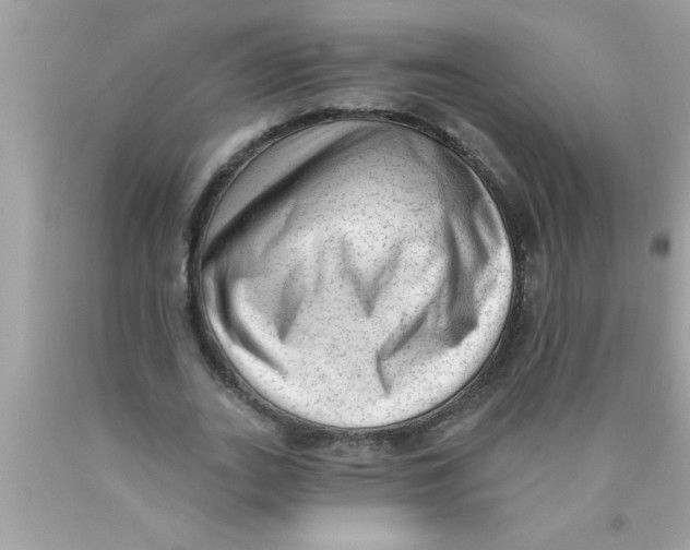 X0000089860727200707262127