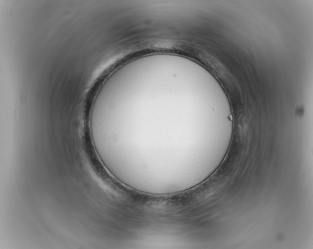 X0000089860728200707262127