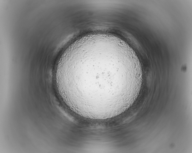 X0000089860729200707262127