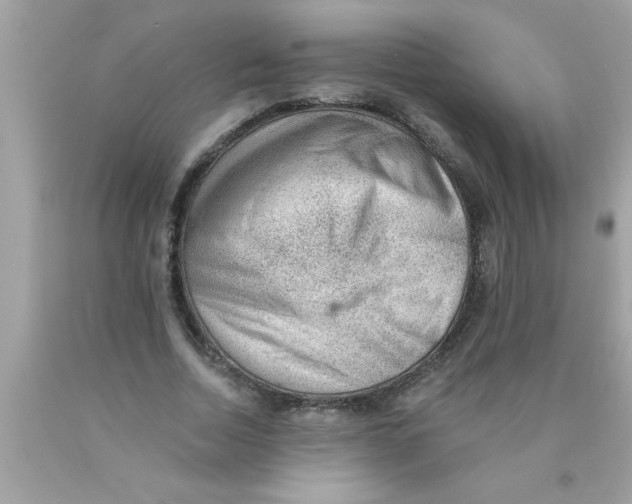 X0000089860730200707262127