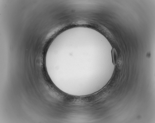 X0000089860732200707262127