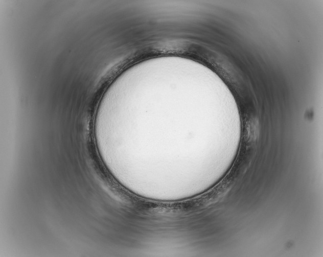 X0000089860733200707262127