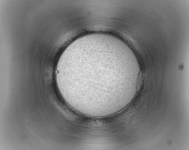 X0000089860735200707262127