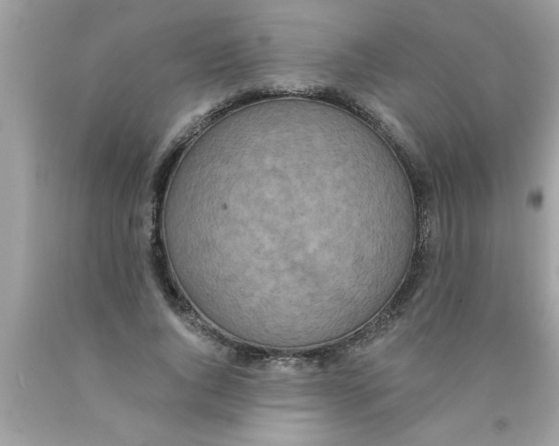 X0000089860736200707262127