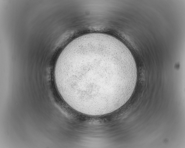 X0000089860738200707262127