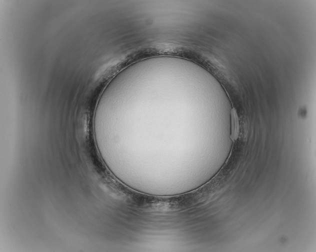 X0000089860740200707262127