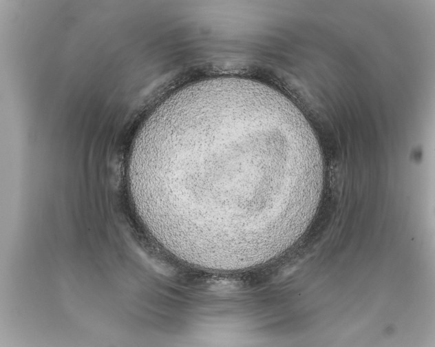 X0000089860741200707262127