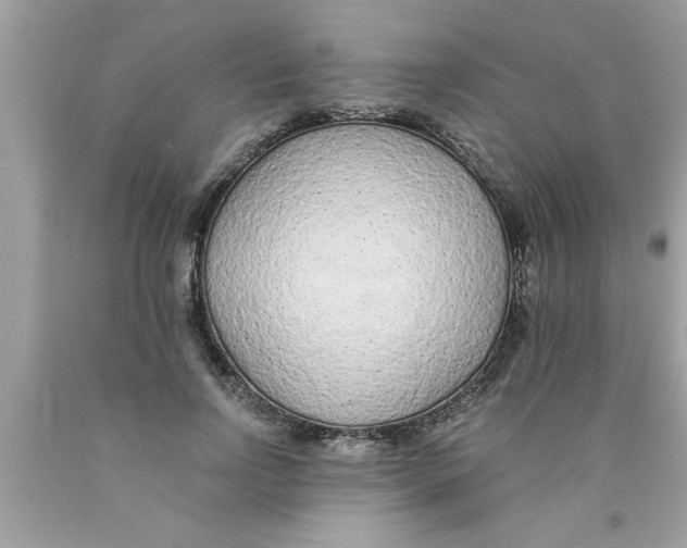 X0000089860742200707262127
