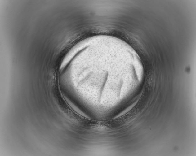 X0000089860743200707262127