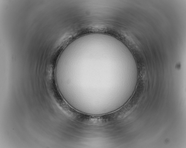 X0000089860744200707262127