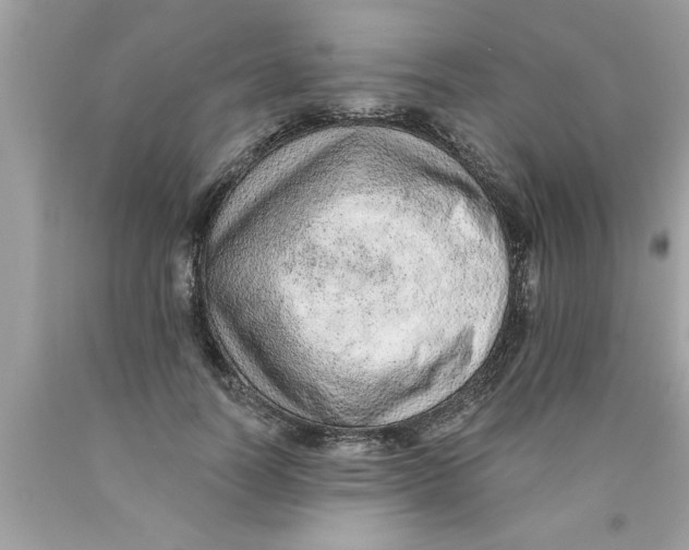X0000089860746200707262127