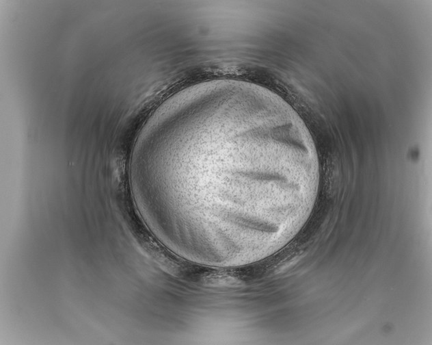 X0000089860747200707262127