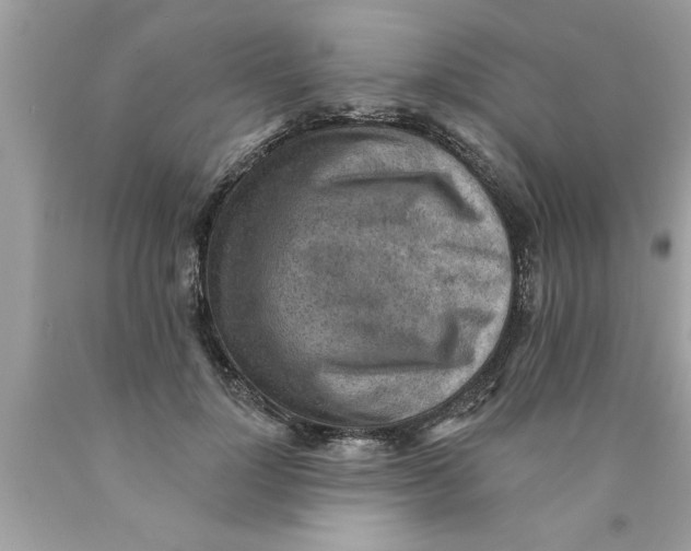X0000089860748200707262127