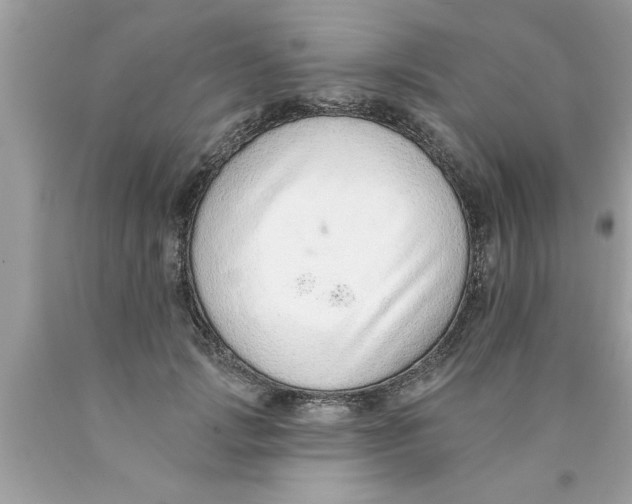 X0000089860749200707262127