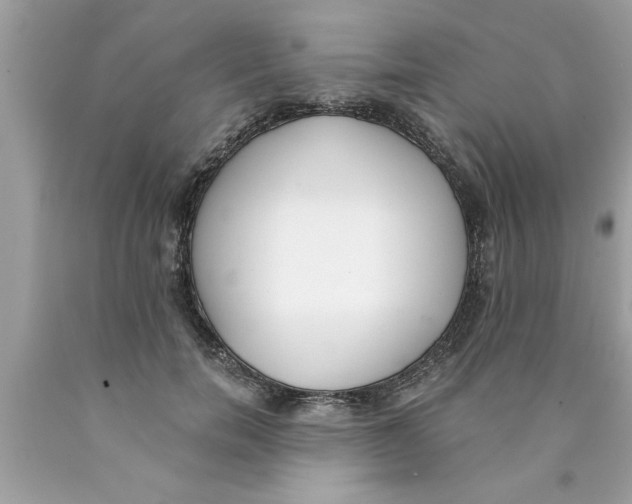 X0000089860750200707262127