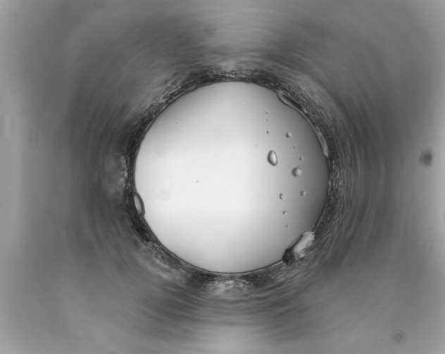 X0000089860752200707262127