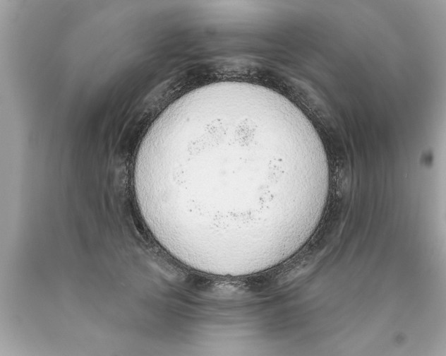 X0000089860753200707262127