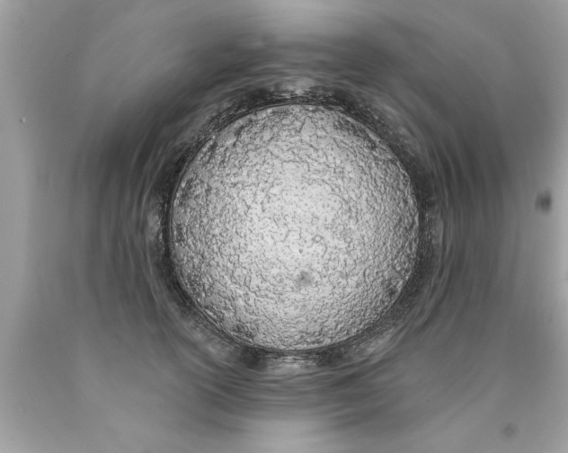 X0000089860754200707262127