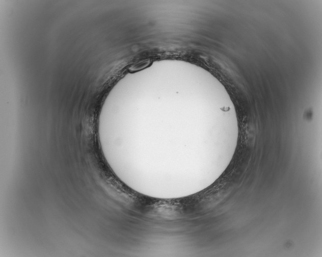 X0000089860756200707262128