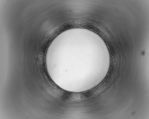 X0000089860757200707262128