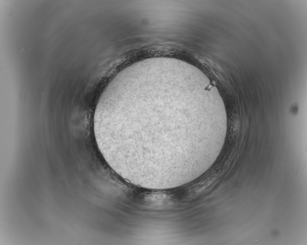 X0000089860759200707262128
