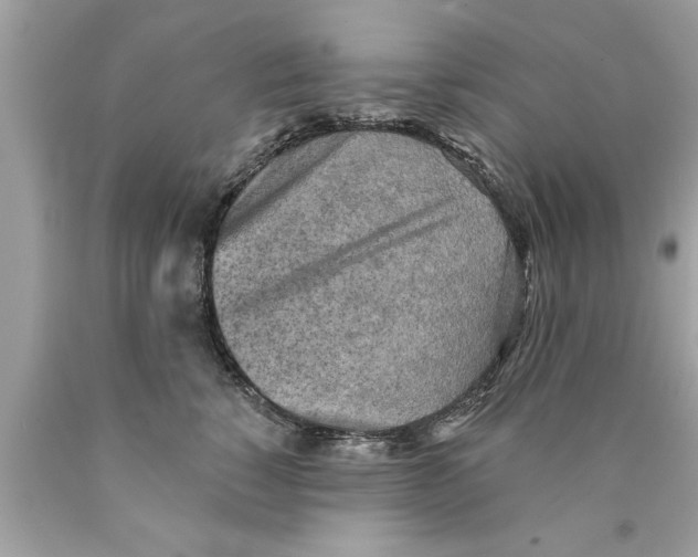 X0000089860760200707262128