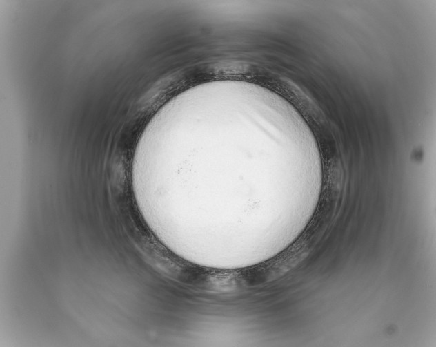 X0000089860761200707262128