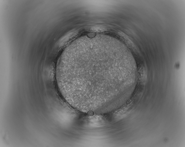 X0000089860762200707262128