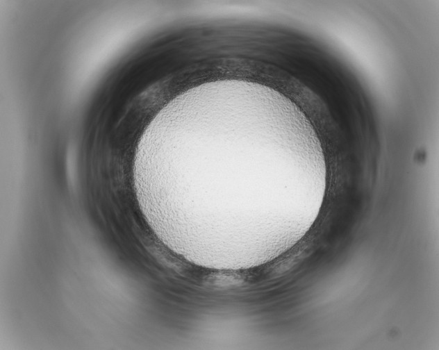 X0000089860765200707262128