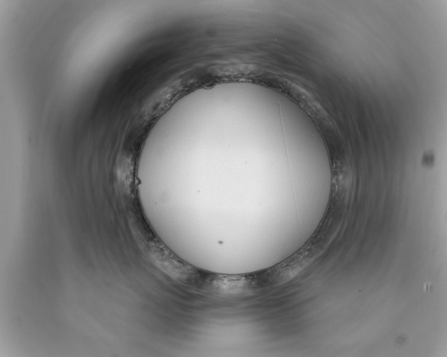 X0000089860767200707262128