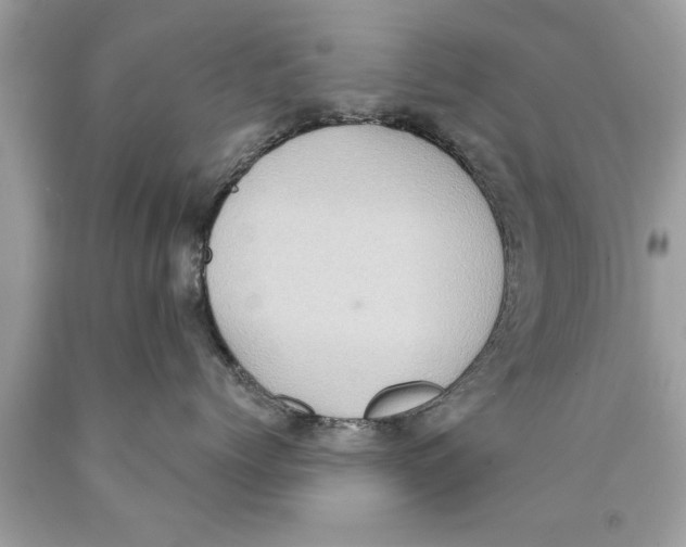X0000089860768200707262128