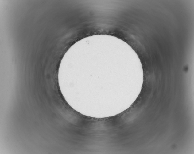 X0000089860769200707262127