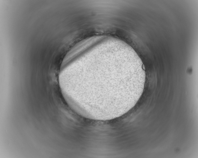 X0000089860770200707262127