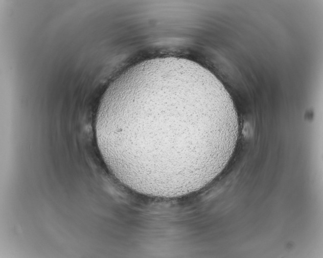 X0000089860771200707262127