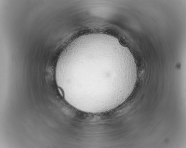 X0000089860772200707262127