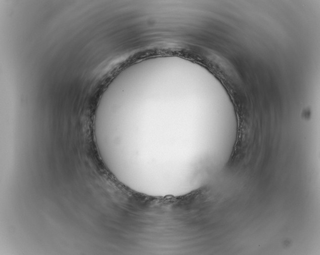 X0000089860773200707262127
