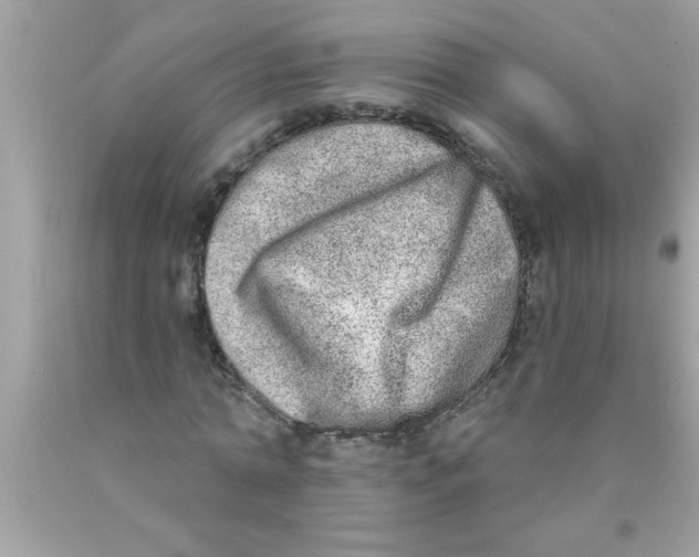 X0000089860774200707262127