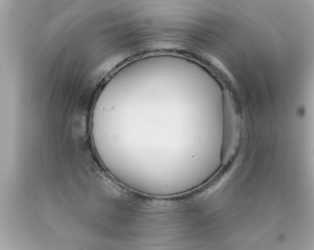 X0000089860777200707262127