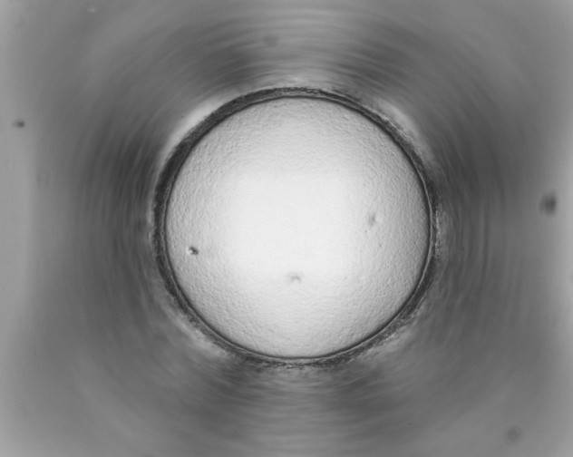 X0000089860780200707262127
